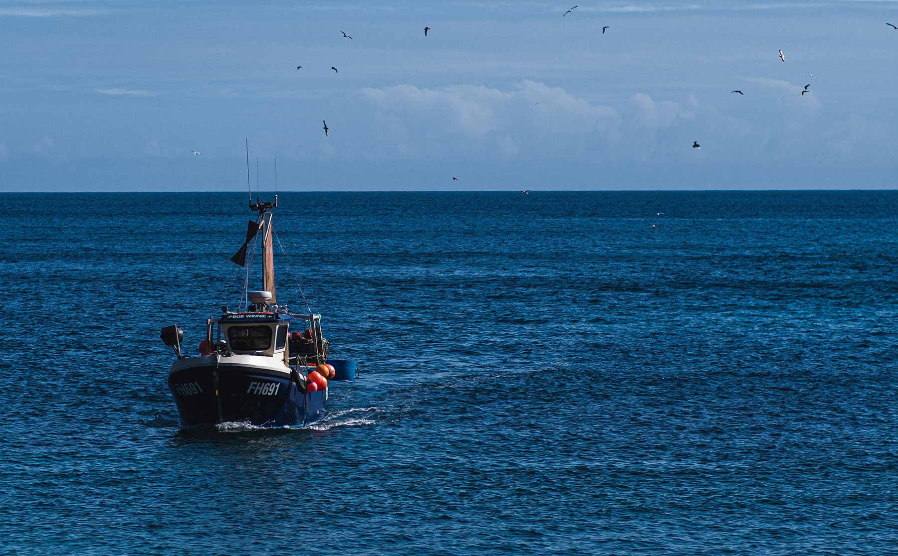 Crowdfunder Something Familiar