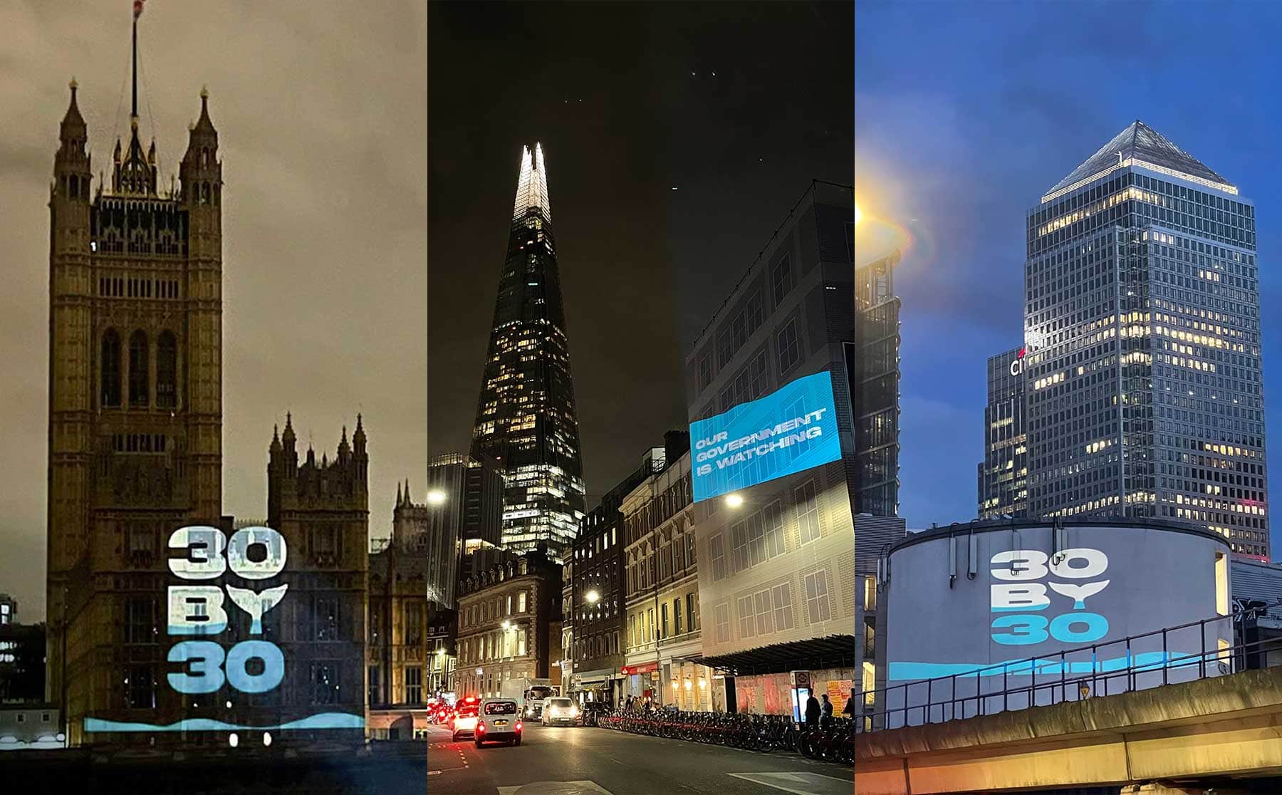 Seaspiracy - Carousel_8